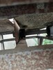 Sprzedam - 2
