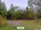 Działka Aleksandrów, z własnym lasem, WZ - 3
