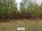 Działka Aleksandrów, z własnym lasem, WZ - 6