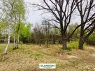 Działka Aleksandrów, z własnym lasem, WZ - 8