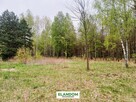 Działka Aleksandrów, z własnym lasem, WZ - 10