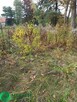 Działka z potencjałem - 2