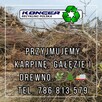 Przyjmujemy gałęzie, karpinę oraz drewno - 2