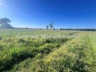 Działka rolna Święta Anna gm. Dąbrowa Zielona - 1