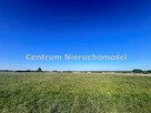 Działka rolna Święta Anna gm. Dąbrowa Zielona - 5