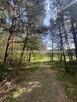 Działka leśna Kwaśniów Górny gm. Klucze - 3