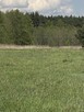 Działka pod lasem - 13