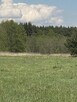 Działka pod lasem - 14