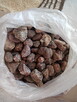 Ozdobny kamień naturalny odcień różu - 4
