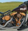 Harley-Davidson Fat Boy 1973 HARLEY DAVIDSON SHOVELHEAD CUSTOM FATBOY 1474cm3 - 9