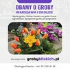 Sprzątanie grobów Warszawa -stała opieka nad grobem od 99 zł - 5