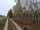Sprzedam drewno opałowe brzoza, olcha - 2