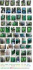 Eps 205 tester wtryskiwaczy Bosch z kodowaniem - 7