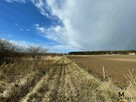 Działka siedliskowa Grzybowo gm. Kołobrzeg, Szkolna - 3