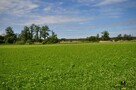 Działka inwestycyjna Kładno gm. Będzino Pleśna - 2