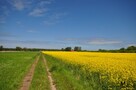 Działka inwestycyjna Kładno gm. Będzino Pleśna - 4