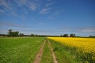 Działka inwestycyjna Kładno gm. Będzino Pleśna - 10