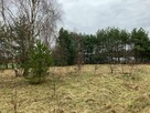 Działka na Izabelowie - 1