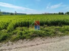 Działka pod zabudowę w okolicy Gostynina - 3