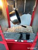 Wynajmę Maszynę do Popcornu Popcorn - 8