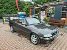Opel Astra 1.6 benzyna / Bertone / Cabrio / Alu / Zarejestrowany - 15