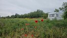 atrakcyjna działka blisko Kalisza - 2