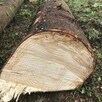 Drewno kominkowe / opałowe / budulec dł. / Jesion Dąb Świerk - 5