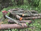 Drewno kominkowe / opałowe / budulec dł. / Jesion Dąb Świerk - 11