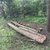 Drewno kominkowe / opałowe / budulec dł. / Jesion Dąb Świerk - 7