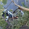 Wykonam usługi ogrodnicze, wycinki drzew - 6