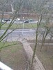 Wykonam usługi ogrodnicze, wycinki drzew - 2