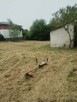 Wykonam usługi ogrodnicze, wycinki drzew - 9