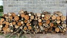 Sprzedam drewno opałowe brzoza topola - 2