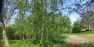 Dom z przepięknym ogrodem i lasem - 10