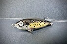 Woblery szczebrzeszyńskie z pracowni MD_LURES_STUDIO - 9