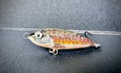 Woblery szczebrzeszyńskie z pracowni MD_LURES_STUDIO - 13