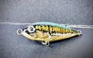 Woblery szczebrzeszyńskie z pracowni MD_LURES_STUDIO - 11
