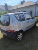 Seicento young - 3