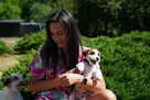 Sunia Jack Russell Terrier - 3