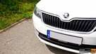 Škoda RAPID 1.2 TSI GAZ LPG - Salon PL - 1wł. - Raty Zamiana Gwarancja - 10