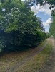 Działka RODO - 13