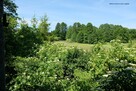 Dom w Balinie (Chrzanów) na dużej działce- super lokalizacja - 7