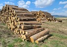 Drewno opałowe kominkowe iglaste miękkie - 5