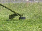 Usługi sprzątające / ogrodnicze - 2