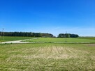 Wynajmę ECO-dom 220 m2 i goraż 350 m2. Na 50 arowej działce. - 8
