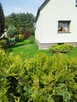 Sprzedam dom - 4