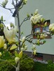 Sprzedam dom - 1