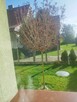 Sprzedam dom - 10