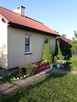 Sprzedam działkę ROD “Sarenka” w Częstochowie, ul. Kusocińsk - 5