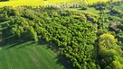 Duża działka z WZ oraz  linią brzegową jeziora - 6